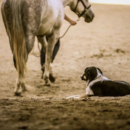 Western Pleasure Guest Ranch ساندبوينت المظهر الخارجي الصورة