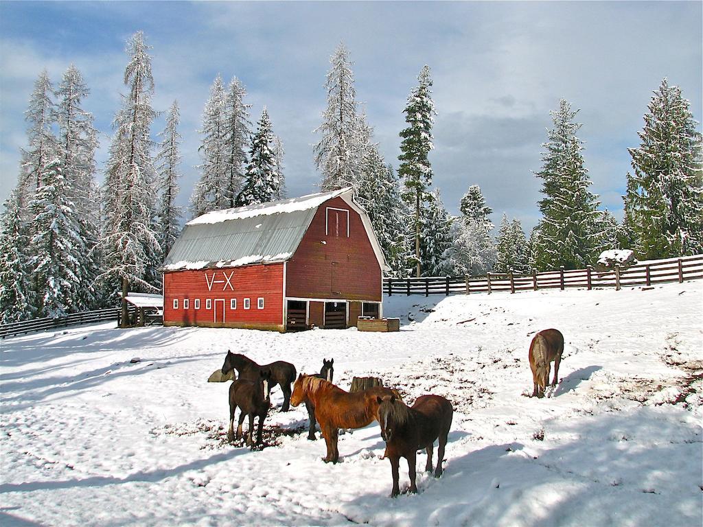 Western Pleasure Guest Ranch ساندبوينت المظهر الخارجي الصورة