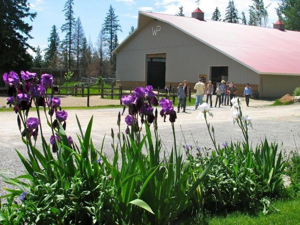 Western Pleasure Guest Ranch ساندبوينت المظهر الخارجي الصورة